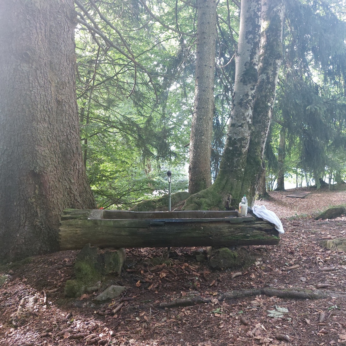 Terrain de camp de Plambuit, 1858 Panex VD - 11039