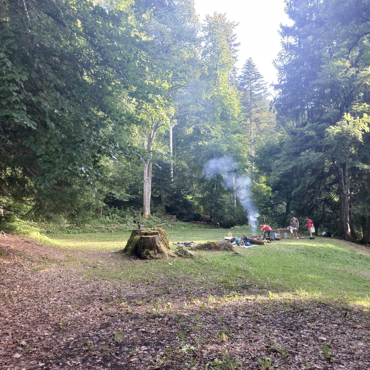 Terrain de camp de Plambuit, 1858 Panex VD - 11040