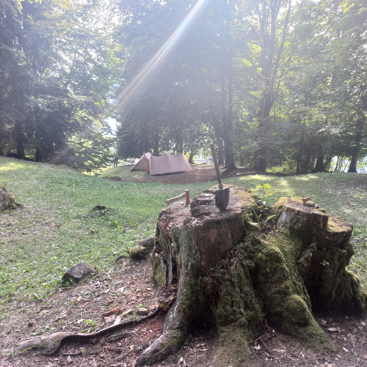 Terrain de camp de Plambuit, 1858 Panex VD - 11041