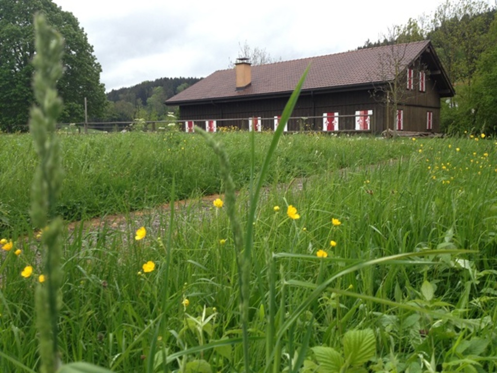 Pfadiheim Loberg, 9524 Zuzwil SG - 521