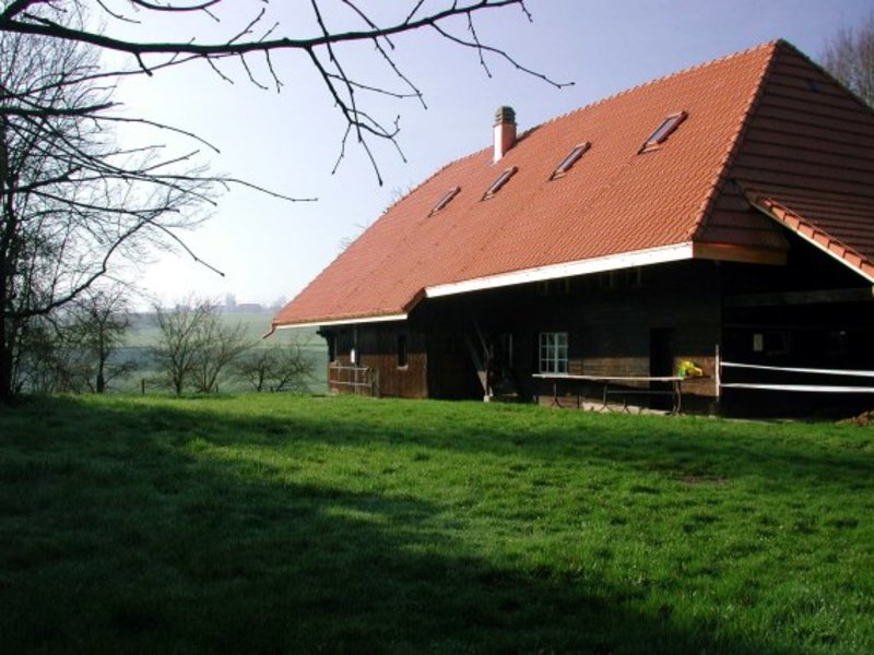 Pfadiheim Windrösli, 3178 Bösingen - 809