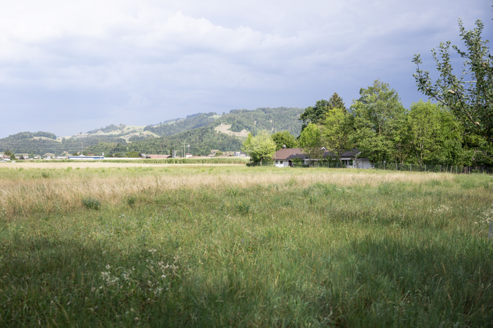 Pfadiheim Aare, 3613 Steffisburg-Station BE - 9919 - Aussenansicht